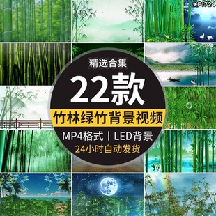 竹林竹子绿竹水墨山水古风苗族山歌傣族舞蹈舞台LED背景视频素材