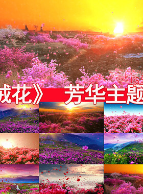 绒花芳华主题曲国庆dang建革命红歌春节映山红led大屏背景视频素