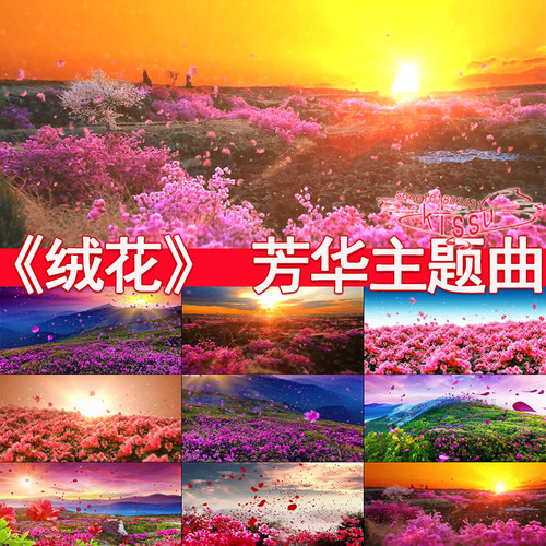 绒花芳华主题曲国庆dang建革命红歌春节映山红led大屏背景视频素