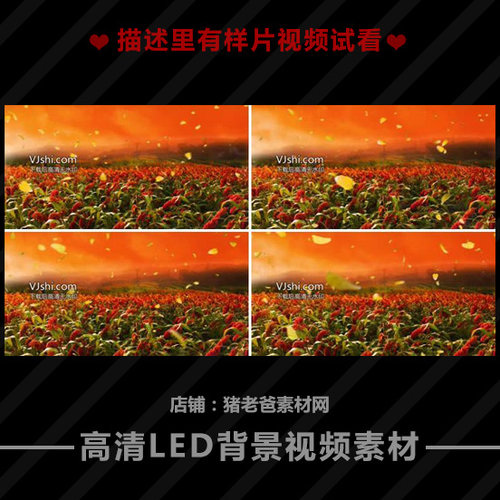 高粱红了九儿红高粱飞舞 大型文艺晚会舞蹈背景LED大屏幕视频素材