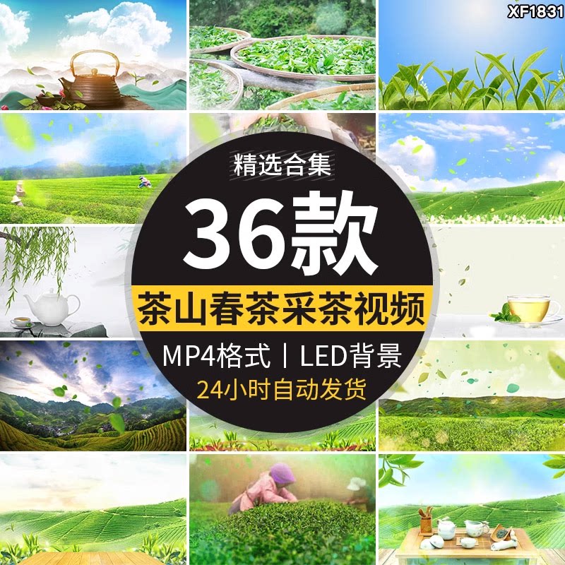 茶叶飘叶中国风茶园采茶山品茶茶田茶艺表演舞台LED背景视频素材