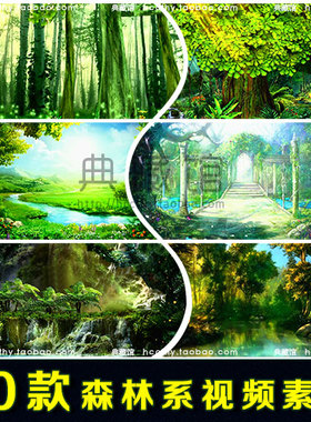 梦幻森林系列超唯美绿色童话森系婚礼背景LED婚庆视频素材 高清