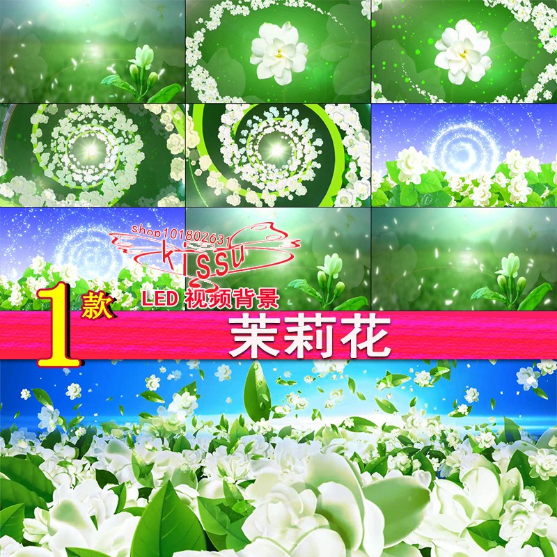 H茉莉花民红歌茉莉花开民族舞蹈视频背景新年元旦春节晚会LED素材
