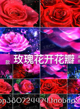唯美浪漫红色玫瑰花瓣婚礼晚会抒情歌曲年会背景 led大屏视频