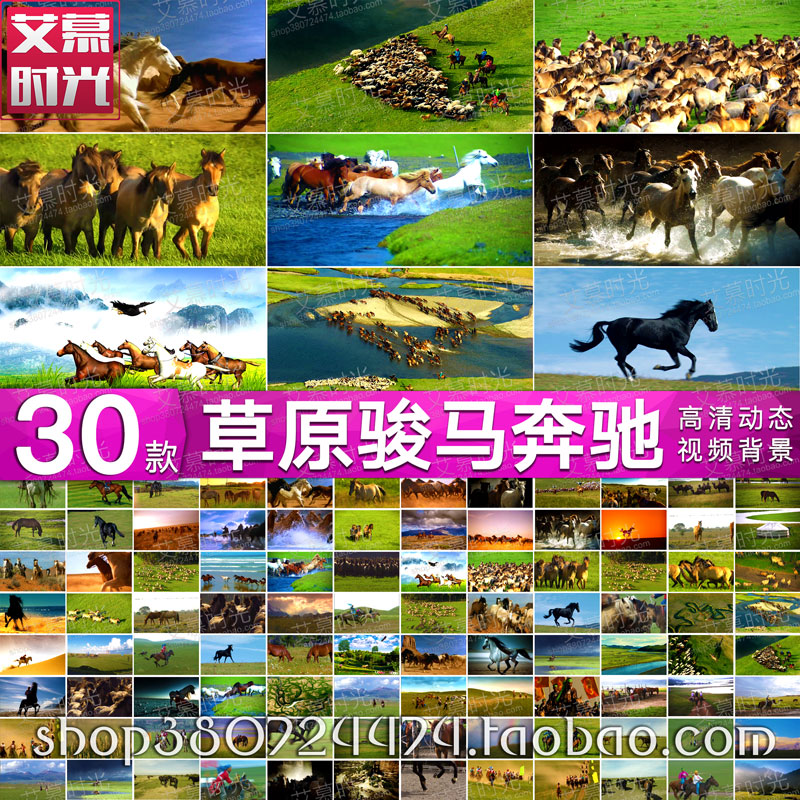 内蒙古大草原骏马奔驰牧马万马奔腾草地马群 LED大屏背景视频