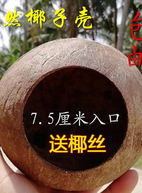 夏天鸟窝鹦鹉窝防咬椰子窝虎皮保暖下蛋窝孵化鸟巢繁衍窝玄风专用