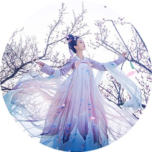 新款汉服女菩提雪古装服装仙女齐胸襦裙传统汉服唐制公主清新淡雅
