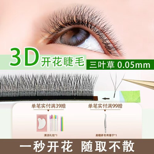 三叶草水貂毛开花嫁接睫毛