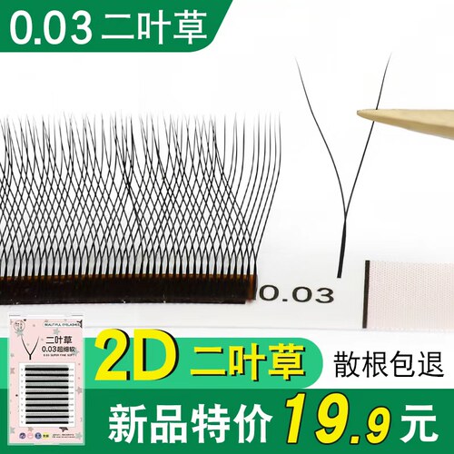 y型嫁接睫毛开花超柔软