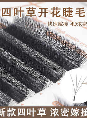 新品05四叶草嫁接睫毛 超软不散跟4D开花Y型三叶草自然浓密大开花