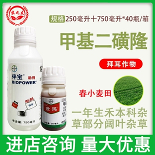 拜耳世玛甲基二磺隆小麦田一年生禾本科杂草及部分阔叶杂草除草剂