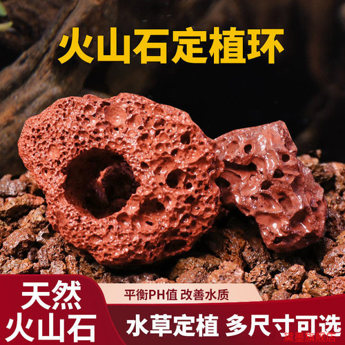 沉底固定火山石鱼虾繁殖过滤除臭蜂巢结构快速成景定植环新手懒人