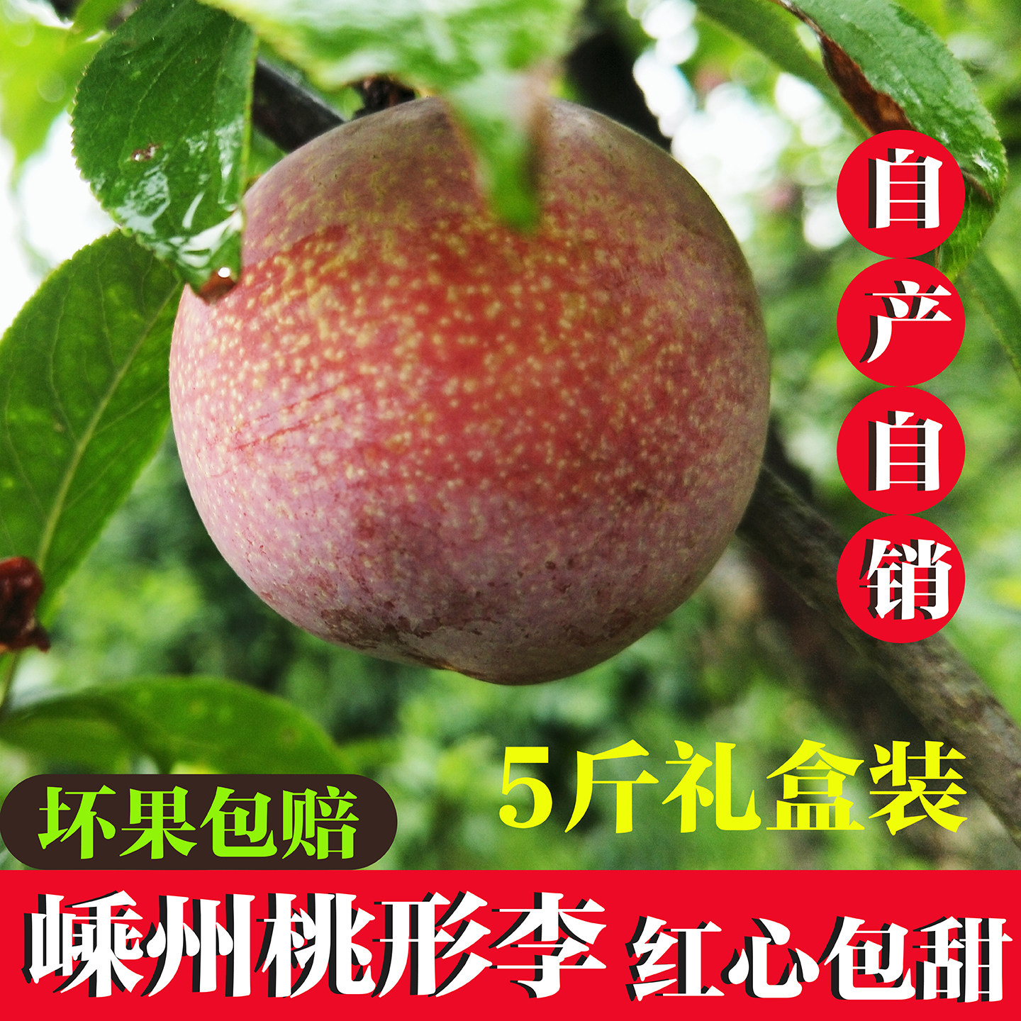 正宗嵊州金庭桃形李子新鲜水果浙江脆甜红心桃型李子大果礼盒农户