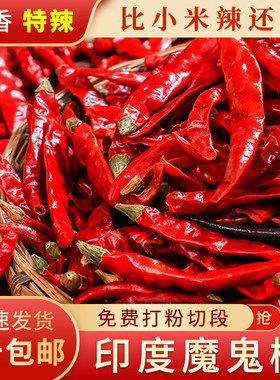 超辣500g印度魔鬼椒