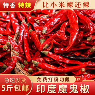 印度魔鬼椒干辣椒特辣特香超辣正宗变态红魔鬼辣王500g磨粉磨面