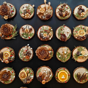 植物松果磁力冰箱贴干花果实种子装饰DIY材料包幼儿园创意手工