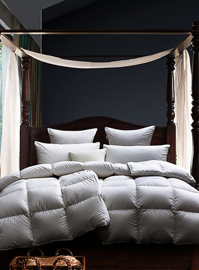 Lexington四季鹅绒被羽绒被单人被芯白鹅绒被芯秋冬双人被