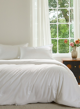 Lexington四季蚕丝被双人桑蚕丝被芯春秋被子冬被加厚保暖