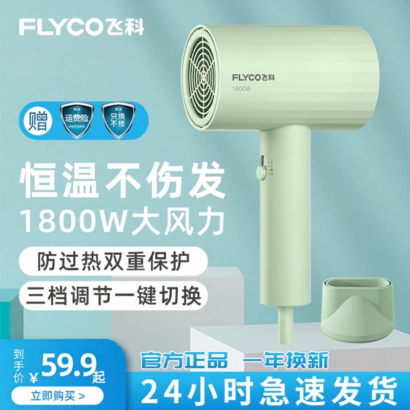 飞科电吹风机家用负离子护发大风力冷热恒温速干宿舍用风筒FH6296