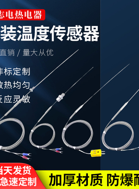 K型铠装热电偶WRNK-191针型电热偶温度传感器可弯曲探头PT100/E/J