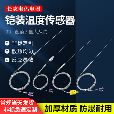 K型铠装热电偶WRNK191温度传感器