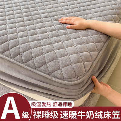 冬季牛奶绒夹棉床笠单件2025新款珊瑚绒床罩三件套加厚床垫保护罩