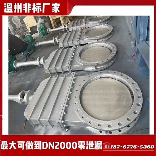 温州厂家 大口径污水电动插板阀 污水刀型闸阀 DMZ73X-10C DN1000