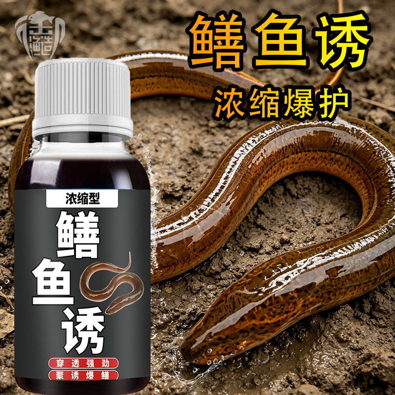 强效鳝鱼诱野钓黄鳝泥鳅甲鱼诱食剂钓鱼小药浓缩腥爆网子笼饵窝料