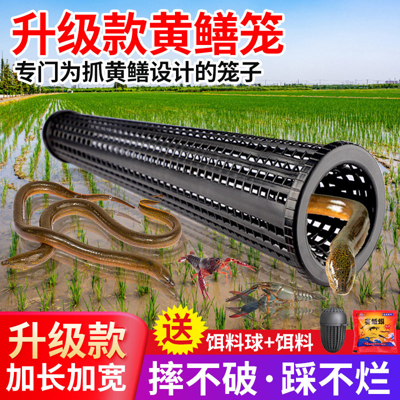 黄鳝笼子捕鱼笼鳝鱼泥鳅虾笼抓鱼笼篓倒须口一字笼喇叭口捕鳝神器