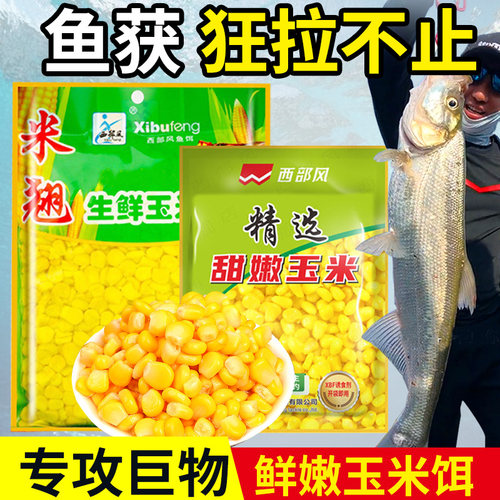 米翘生鲜玉米甜嫩玉米打窝