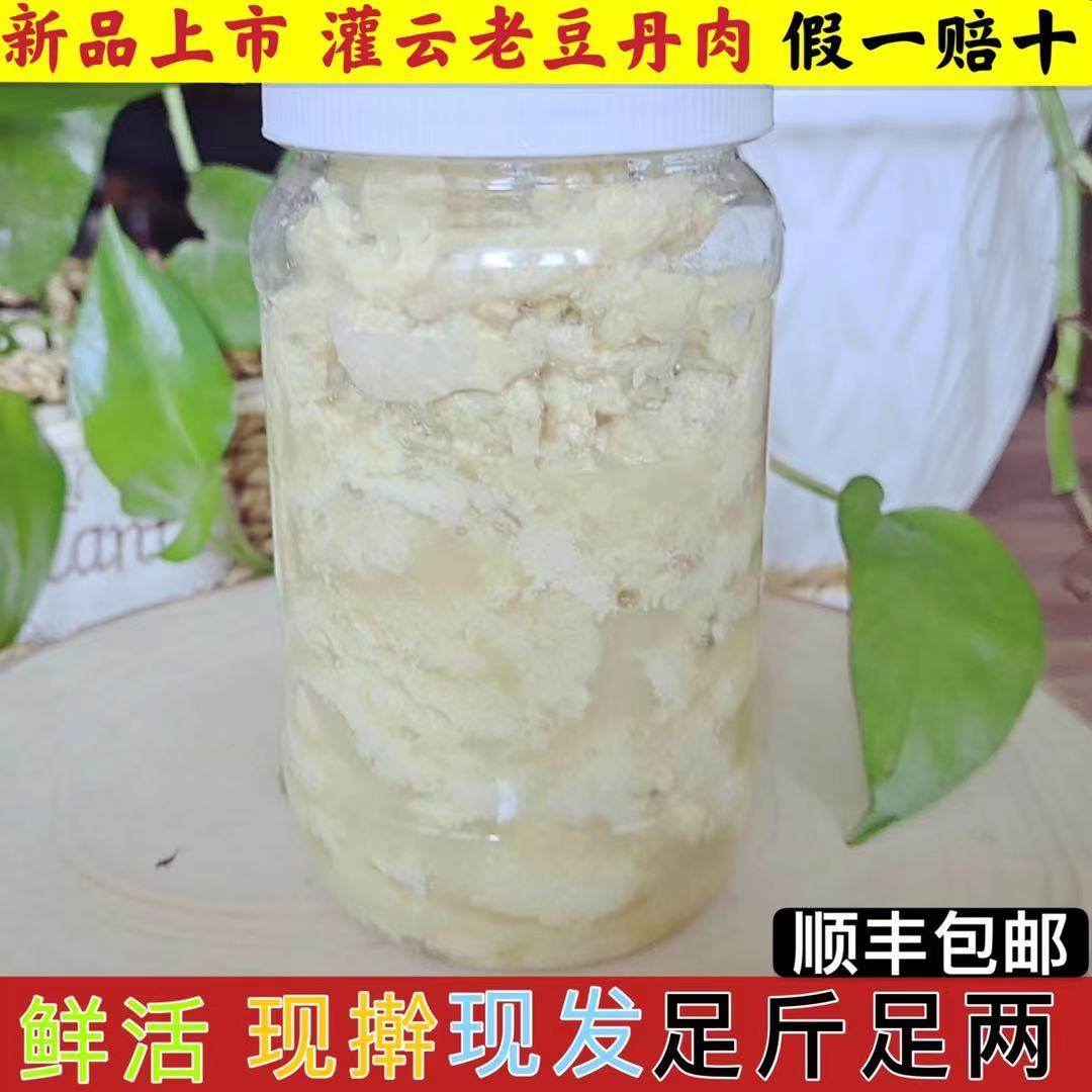 连云港特产灌云豆丹肉新鲜入节豆单下蜇豆虫新鲜老豆丹肉1斤包邮