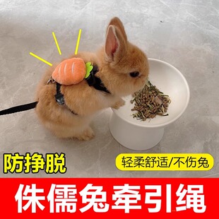 绳子 小兔子牵引绳防挣脱专用外出神器溜侏儒幼兔宝宝荷兰猪龙猫