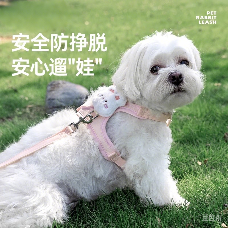 小狗狗牵引绳猫咪背心式遛狗绳子泰迪比熊小型犬胸背带外出狗链子