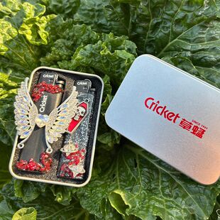 草蜢cricket黑白暗黑创意手工打火机高级感送闺蜜男友礼物贴纸diy