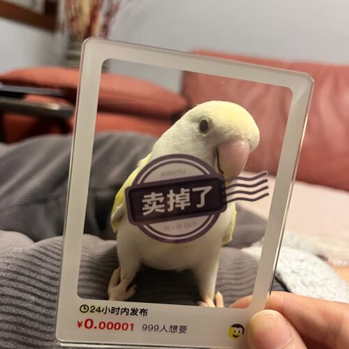 送朋友透卡咸鱼卖掉了咸鱼同款透卡拍照神器新款拍照打卡搞怪