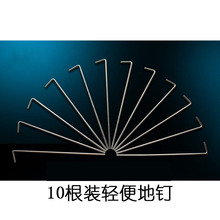 钉子帐篷扎钉防风钉野餐垫地插野炊钉 户外帐篷地钉十支固定帐篷
