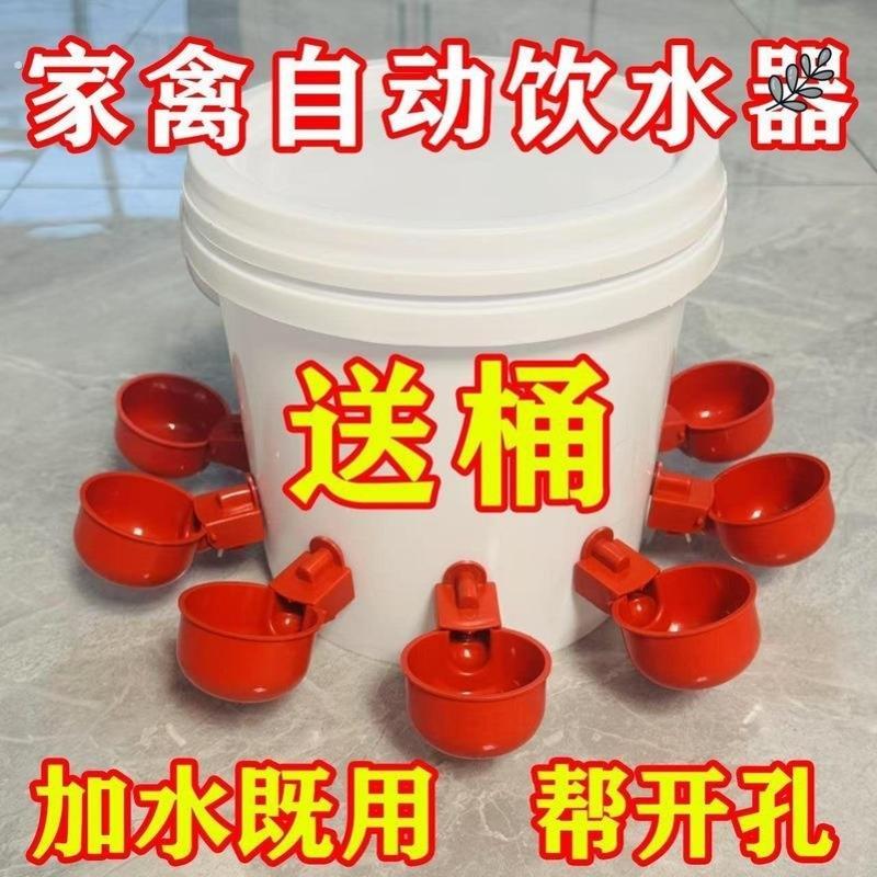 喂鸡食槽水槽一体喂鸡懒人神器出远门农村自动喂鸡家禽养殖小鸡鸭