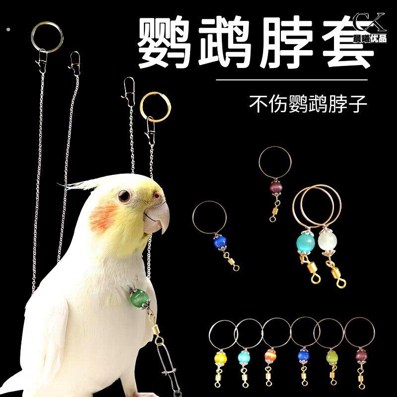 鹦鹉脖套不锈钢玄凤牡丹虎皮栓鸟链遛鸟放飞训练脖圈带链子咬不烂