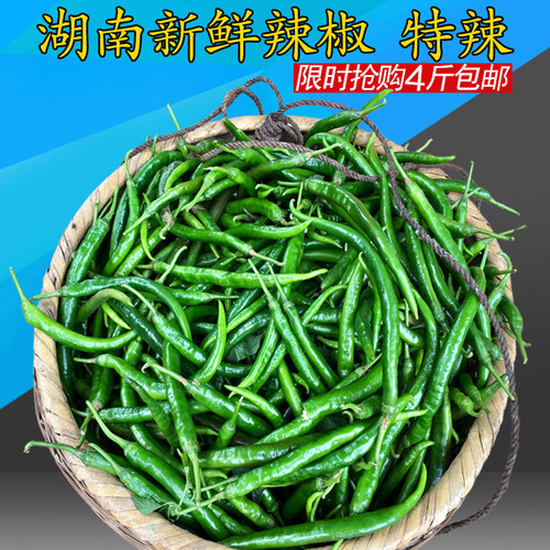 湖南辣椒新鲜线椒薄皮香辣本地辣椒二荆条现摘现发青椒农家自种
