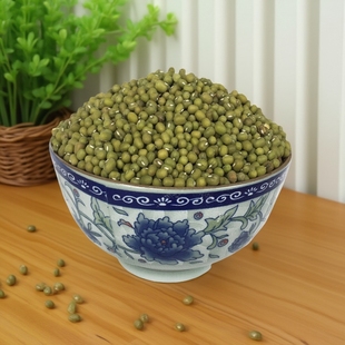 湖南农家新鲜干绿豆自种小粒毛绿豆新货土特产糖水生豆芽材料2斤