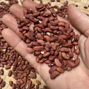 湖南八月豆红饭豆农家自产红眉豆红豆长豆角米种子豇豆包粽子煮粥