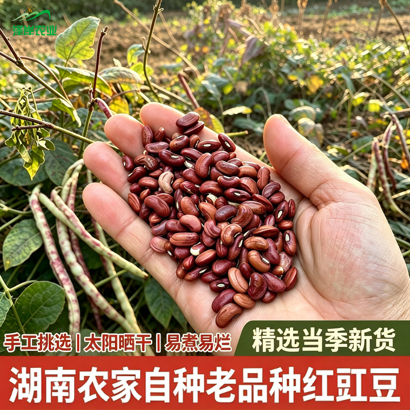 湖南红豇豆新货晒干豆米红豆