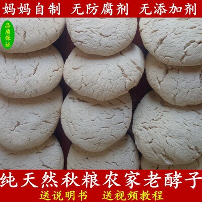 山东传统老面酵子植物纯天然零添加面瓜曲头酵引子馒头包子酵母粉