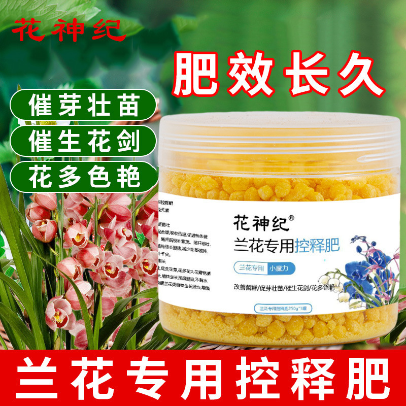 多买多优惠兰花专用控释肥