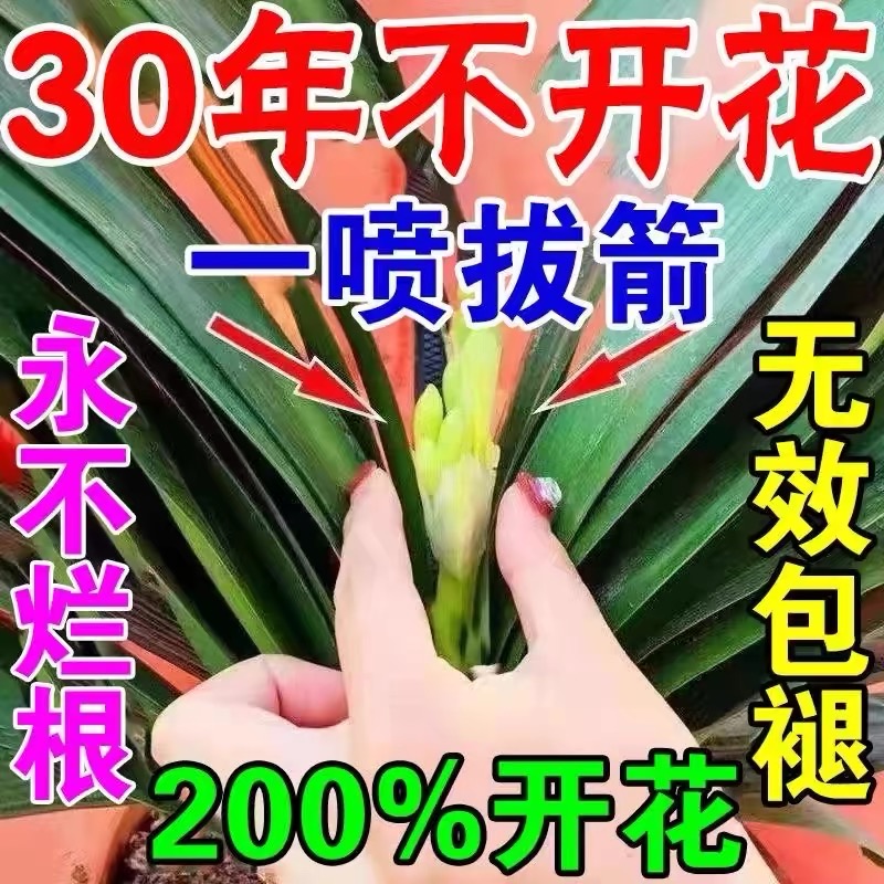 多买多优惠君子兰专用营养液