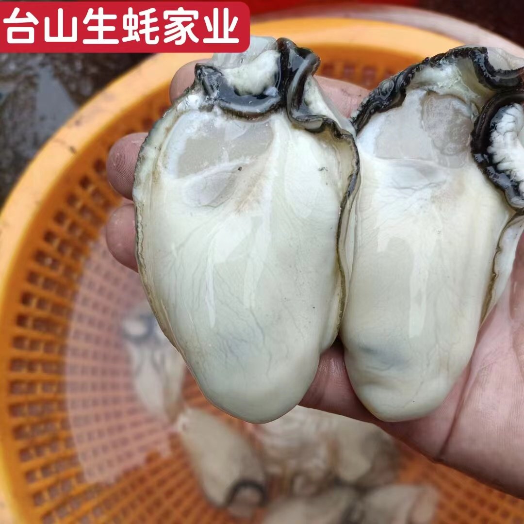 3斤正宗台山生蚝肉去壳鲜活特大肥美海鲜当天剥水产牡蛎肉净蚝肉