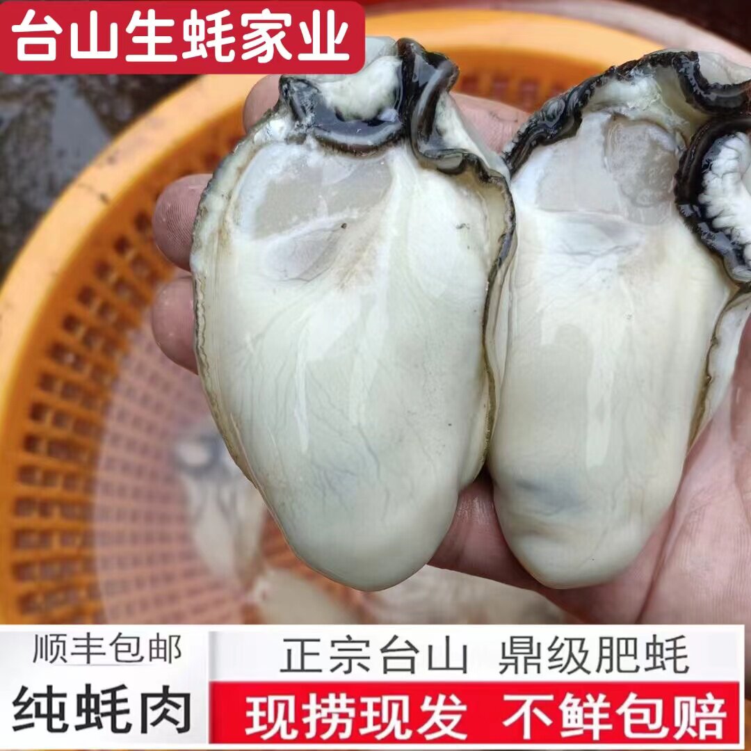 5斤装正宗台山生蚝肉去壳鲜活特大肥美水产海鲜新鲜牡蛎肉净蚝肉