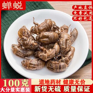 蝉蜕100克 虫蜕虫退知了皮蝉退壳蝉衣爬了猴壳蝉壳蝉蜕 可磨粉
