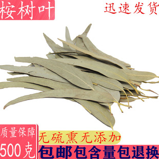 桉树叶 中药材 密袋鼠 除臭 大桉叶洗脸 洗澡 尤加利叶 500克包邮
