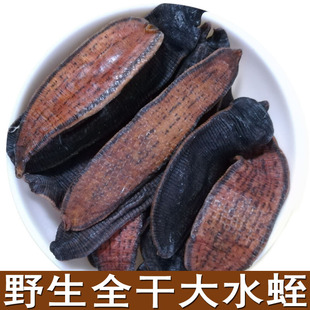 中药材水蛭干500克 蚂蟥干货正品清水大水蛭 可磨水蛭粉 包邮